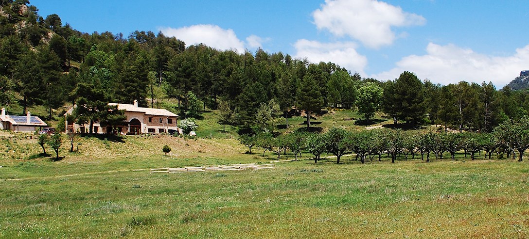 Andalusian Finca